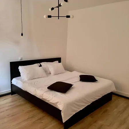Villa Nordic - With Private Yard, Bbq & Free Parking, 4 Km From Center Brașov