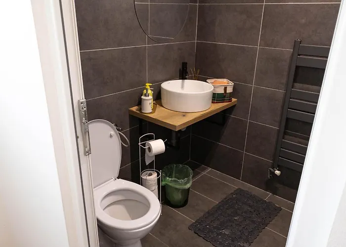 Villa Nordic - With Private Yard, Bbq & Free Parking, 4 Km From Center Brasov